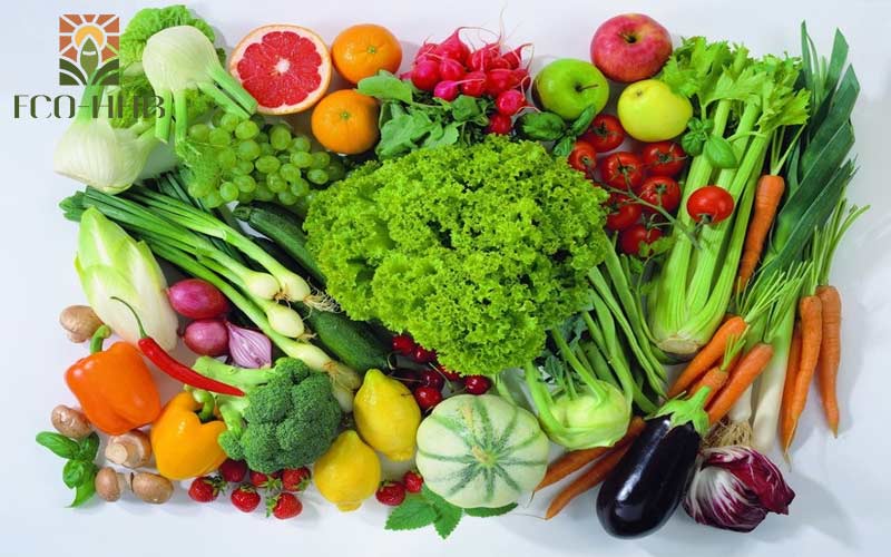 Hương Vị Việt vương xa: Xuất khẩu rau quả Việt Nam trên đà tăng trưởng mạnh