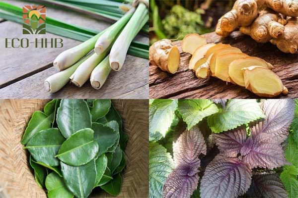 Xông Lá Giải Cảm: Bí Quyết Dân Gian Đánh Bay Cảm Lạnh