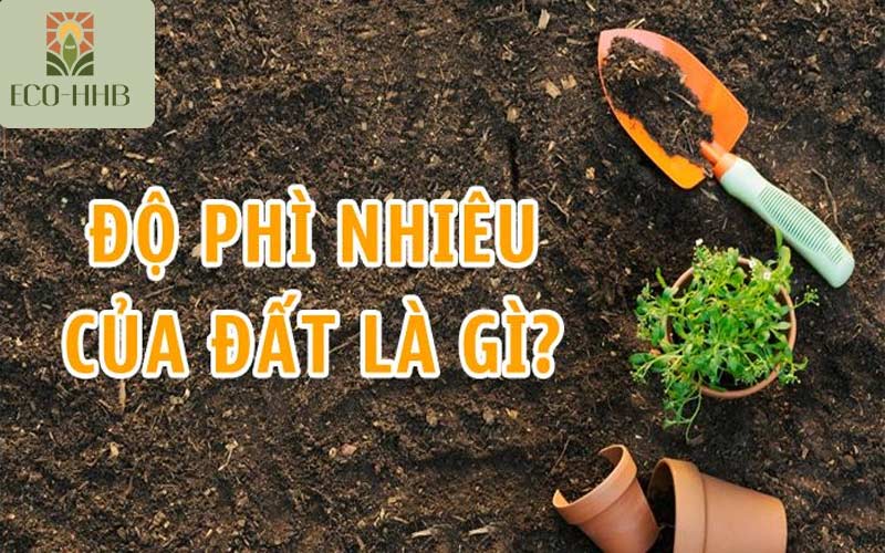 Độ Phì Nhiêu Của Đất Là Gì? 8 cách cải thiện độ phì nhiêu của đất.