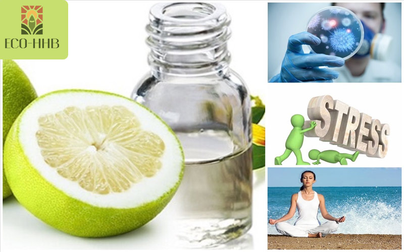 Tìm Hiểu Tác Dụng Của Tinh Dầu Bưởi Đối Với Sức Khỏe