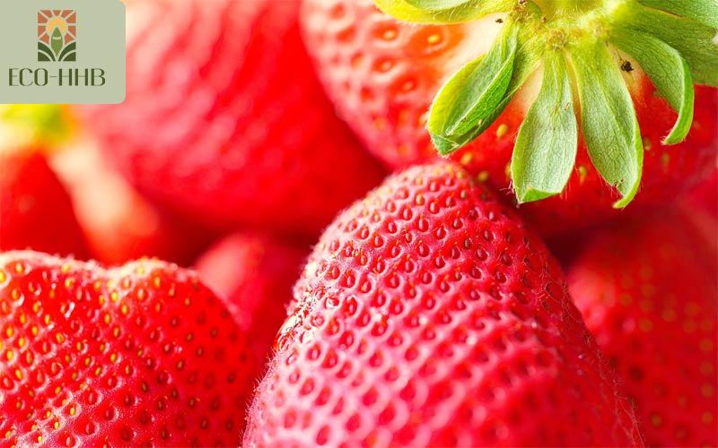 Vua Vitamin C Gọi Tên 6 Loại Trái Cây Này