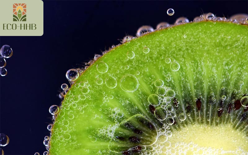 Vua Vitamin C Gọi Tên 6 Loại Trái Cây Này
