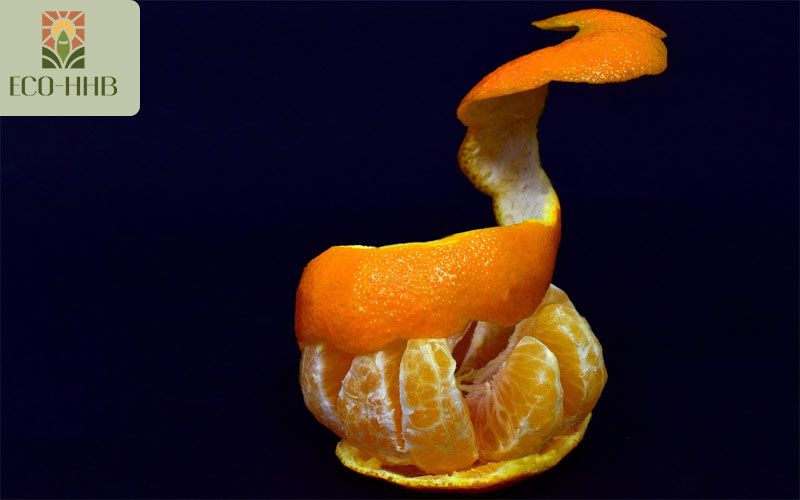 Vua Vitamin C Gọi Tên 6 Loại Trái Cây Này