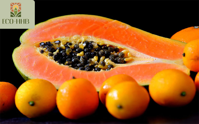 Vua Vitamin C Gọi Tên 6 Loại Trái Cây Này