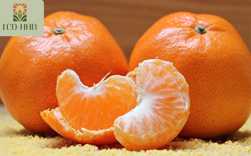 Vua Vitamin C Gọi Tên 6 Loại Trái Cây Này