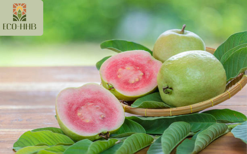 Vua Vitamin C Gọi Tên 6 Loại Trái Cây Này