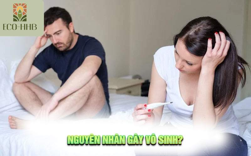 Nguyên Nhân Gây Vô Sinh? Tìm Hiểu Ngay!!!