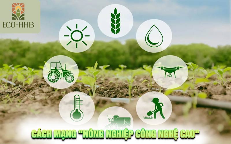 Cách mạng “Nông nghiệp công nghệ cao”- Hướng đi mới bền vững